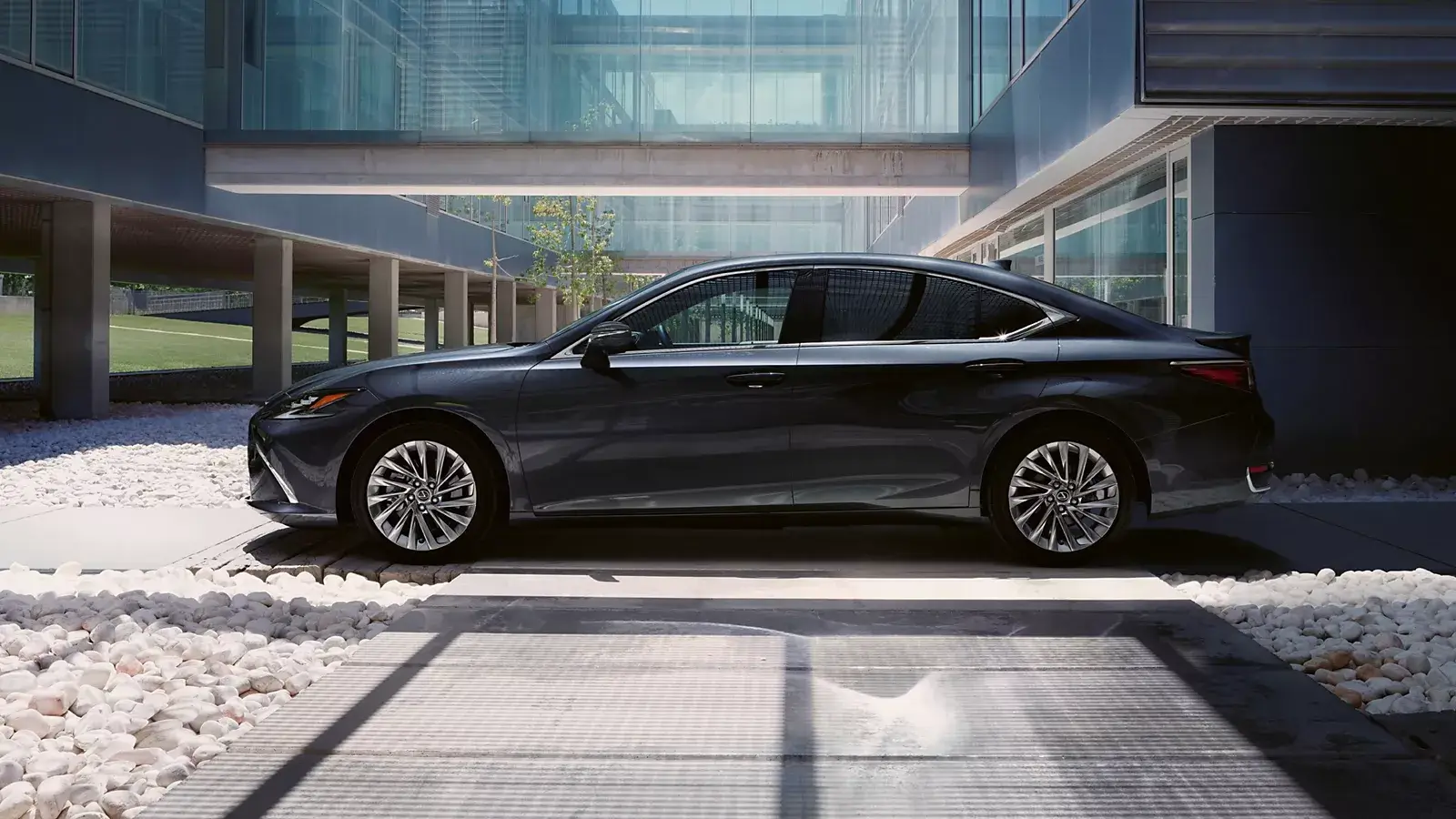 Executive Sedan