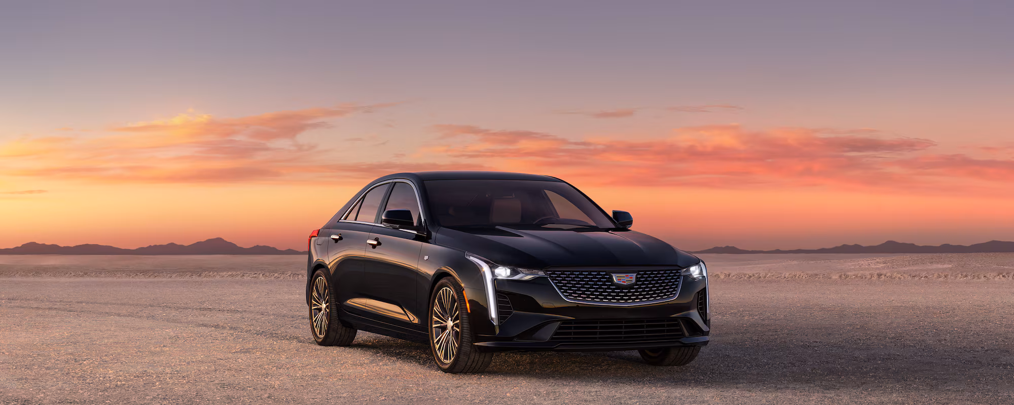 Executive Sedan Gallery